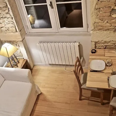 Appartement CHARMANT DESIGN LOFT near the SAÔNE river