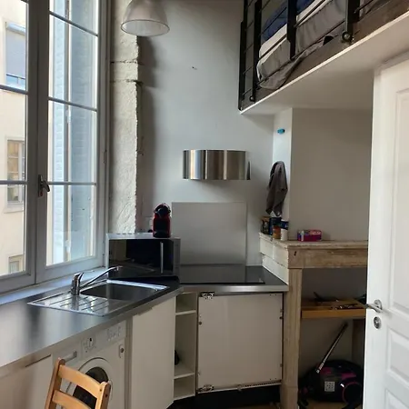 Appartement CHARMANT DESIGN LOFT near the SAÔNE river Lyon