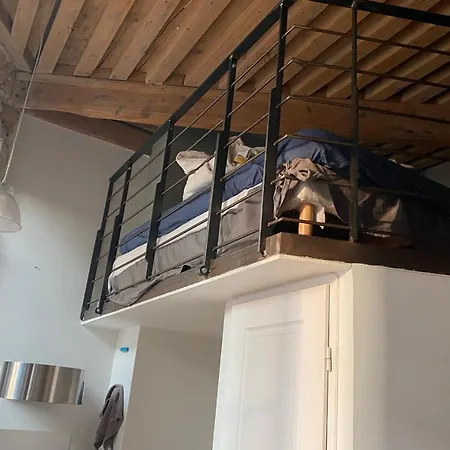 Appartement CHARMANT DESIGN LOFT near the SAÔNE river Lyon